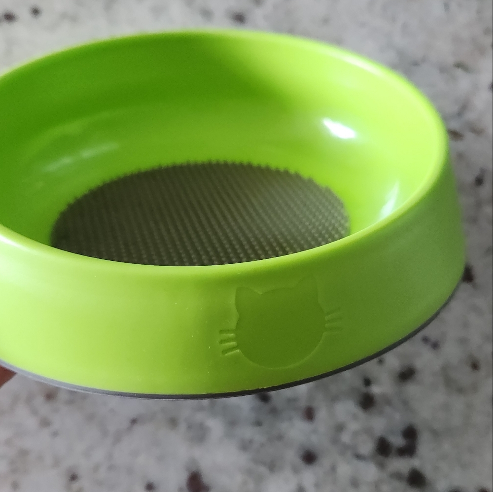 Dental Hygiene Green Cat Bowl